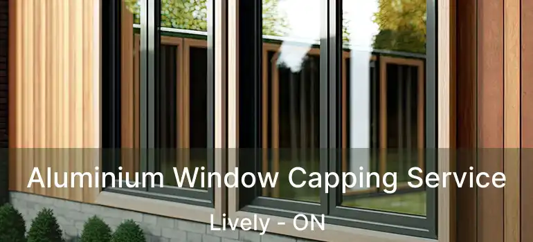  Aluminium Window Capping Service Lively - ON