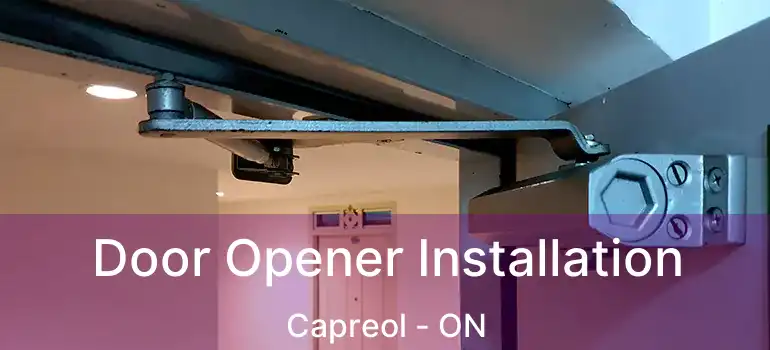  Door Opener Installation Capreol - ON