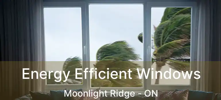  Energy Efficient Windows Moonlight Ridge - ON
