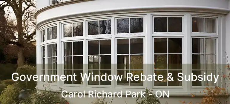  Government Window Rebate & Subsidy Carol Richard Park - ON