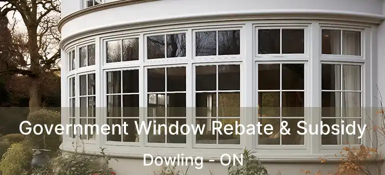  Government Window Rebate & Subsidy Dowling - ON