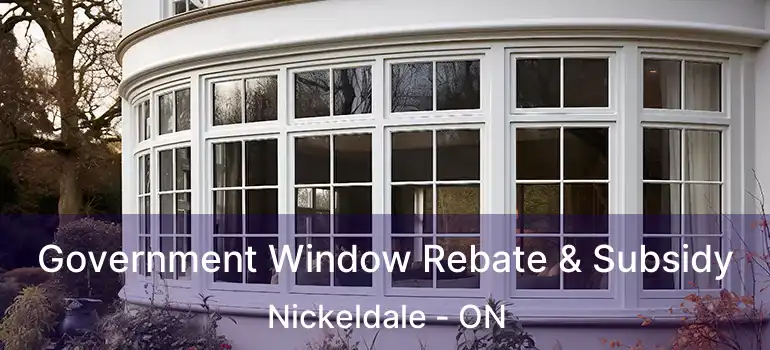  Government Window Rebate & Subsidy Nickeldale - ON