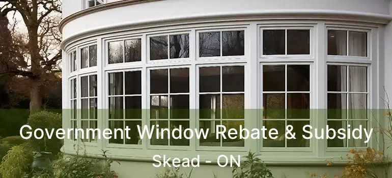 Government Window Rebate & Subsidy Skead - ON