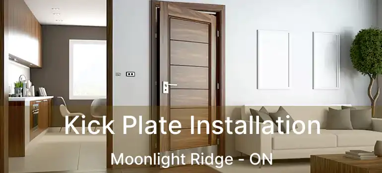  Kick Plate Installation Moonlight Ridge - ON