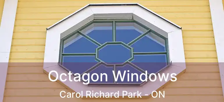  Octagon Windows Carol Richard Park - ON