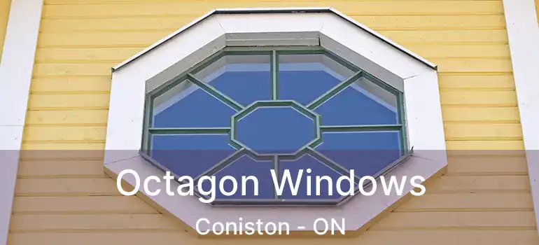  Octagon Windows Coniston - ON