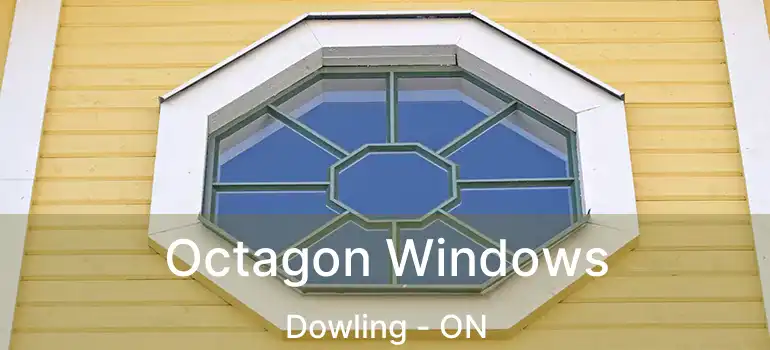  Octagon Windows Dowling - ON