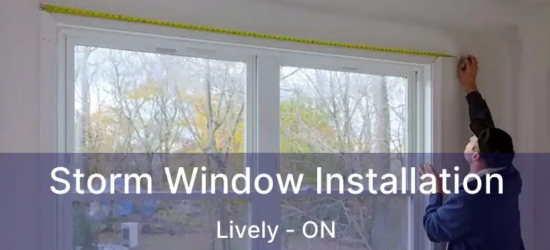  Storm Window Installation Lively - ON