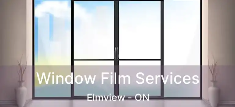  Window Film Services Elmview - ON