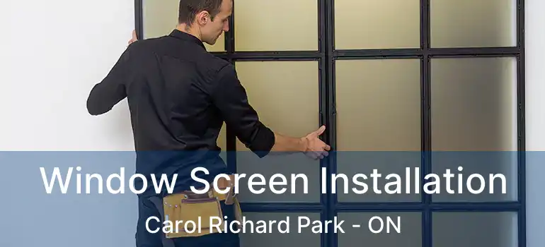  Window Screen Installation Carol Richard Park - ON